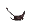 가오리